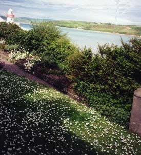 lighthouse at Youghal